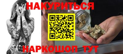 Альфа ПВП Моздок
