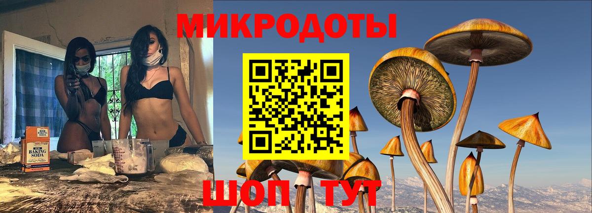 Галлюциногенные грибы Cubensis  Галлюциногенные грибы мицелий  Тула  Вход с VPN 